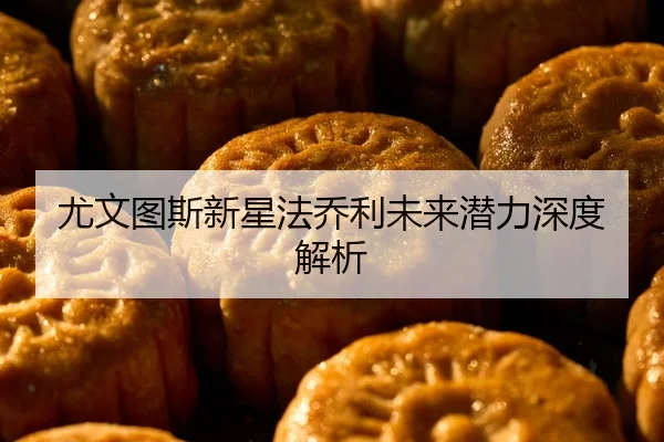 尤文图斯新星法乔利未来潜力深度解析 | KSports
